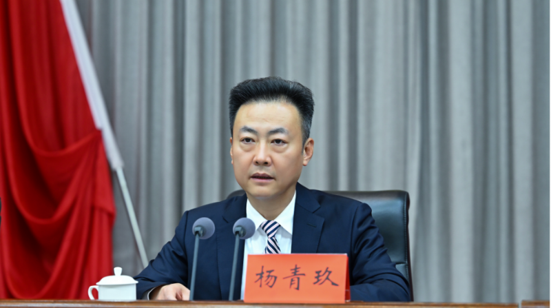 楊青玖：推動全面從嚴治黨向縱深發展 為建設現代化濮陽提供堅強